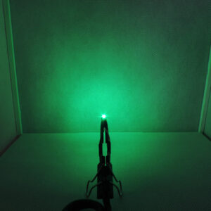 Dioda LED zielony szmaragd SMD 0805 - zdjęcie nr 3
